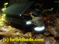 /home//u458753944/public_html/sourcegallery/////McKaig Nature Center/2024-09-29/P9291572.JPG
